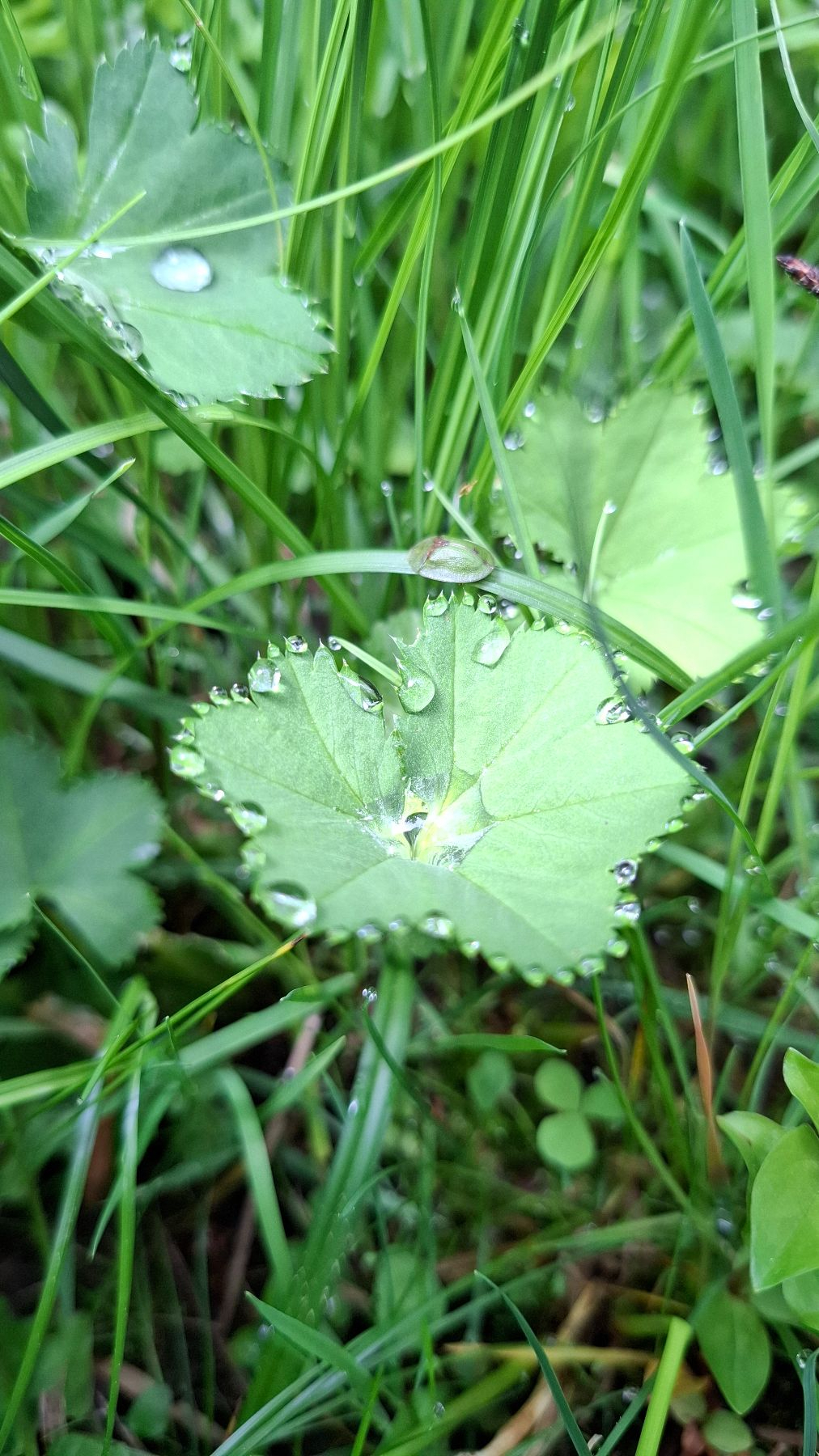 20191104_094705.jpg